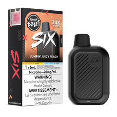 Flavour Beast SIX